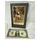 Prince and Other Dogs Antique Photos Book