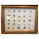 Rock Collection In Shadow Box