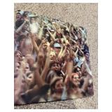 Crosby Nash Live Album