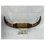 Set of Bull Horns