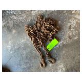 Log chain 5/16" x 20