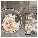 5 gallon bucket with seashells.