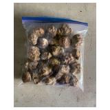 Gallon bag of Missouri geodes