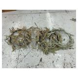 Evergreen wreath forms