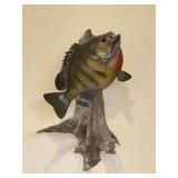 Bluegill fish mount