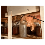 Used jars, pint, quart and a half gallon.