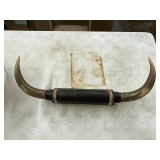 Steer horns on wood plaque, 23" W.