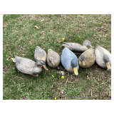 6 mallard and 1 black duck decoys