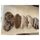 Drift wood pieces up to 9" L