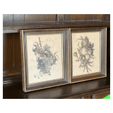 Pair of framed vintage fruit prints