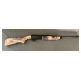 Daisy Model 840 BB and 177 caliber pump up rifle