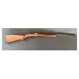 Glenfield Model 60 .22 LR, semi-automatic, tube fed, 21" barrel