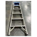 Werner aluminum step ladder