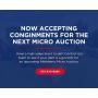 Upcoming Micro Auction