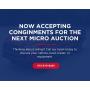 Upcoming Micro Auction