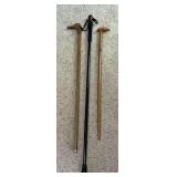 Walking sticks