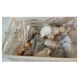 Assortment of sea shells