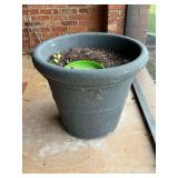 Plastic flower pot with dirt, 24" W x 20" T.