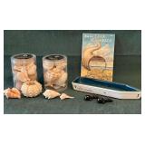 Collection of seashells and a book