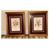 Framed and matted botanical art