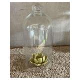 Glass dome 16" T