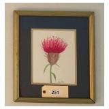Framed & Matted Watercolor Of Scottish Thistle