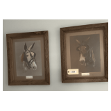 Framed & Matted Ltd Eds 