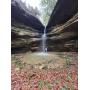 FANTASTIC RECREATIONAL PROPERTY SELLING ONLINE ONLY; 225.66 +/- ACRES SELLING IN 2 TRACTS