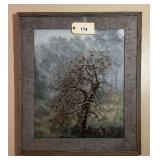 Framed Oil Painting By Roberta Clark Depicting an Apple Tree in a Landscape