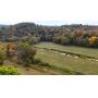 47± Acres in Ava Missouri