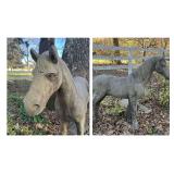 Pair of Concrete Horse Garden Statues - Approximately 44" x 44"