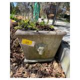 Concrete Planter with Lion Head Detail