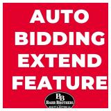 AUTO BIDDING EXTEND FEATURE