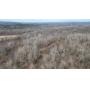 207 Acres in the Mohawk River Valley Little Falls, NY