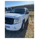 2009 Ford Expedition, VIN#1FMFU16519LA01303, odometer reads 125,195, brake, air bag and low tire lights are on, hail, peeling paint, cracked windshield.  See description for additional information.  P
