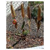 Four ears of corn, approx 42” tall