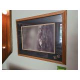 Wolf photo 28 x 23