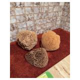 3 bath or decor sponges
