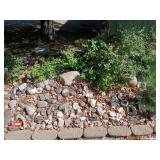 Choice of decorative rocks-CENTER