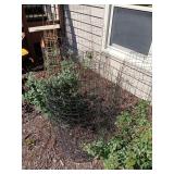 Various wire and tomato cages