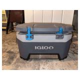 Igloo cooler