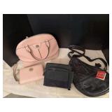 Anne Klein purse with matching clutch, wallet style fanny pack and NWT Bacci cross body bag