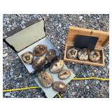 Weird and funky taxidermy projects