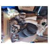 Horns hides and shells!