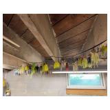 Jigs and lures hanging on ceiling