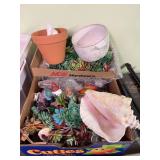 Box of gnomes, rubber succulent plants, sea shell etc...