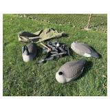 12 shell style Canadian goose decoys
