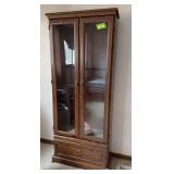 Modern glass door gun cabinet