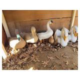 Swans & geese, swans are cement