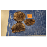 3 beaver hides, frozen